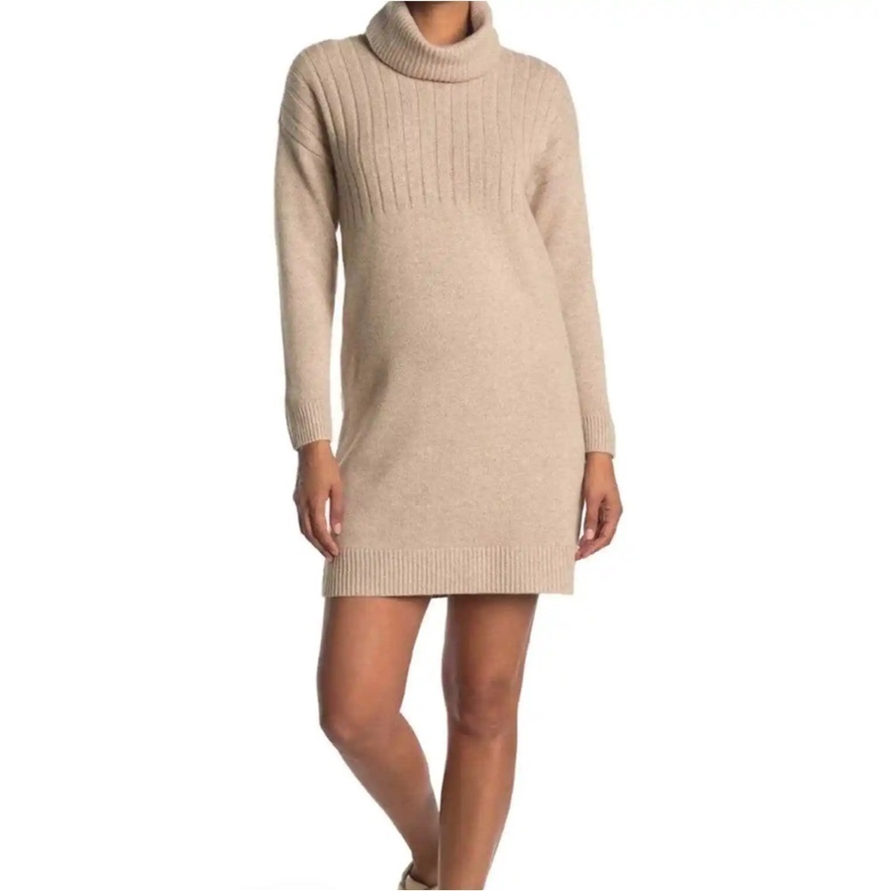010 NWOT Madewell Turtleneck Sweater Dress